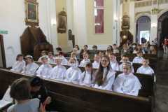 Pielgrzymka-Rokitno-2