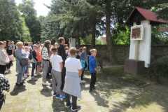 Pielgrzymka-Rokitno-9